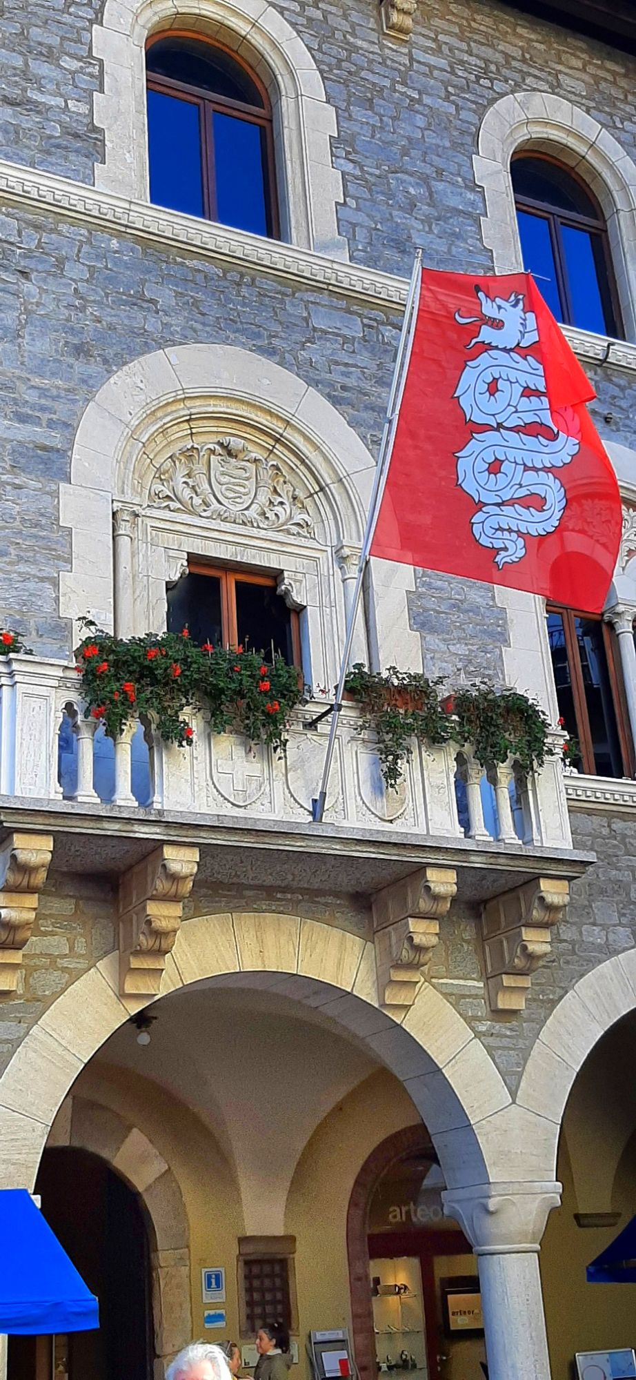 Bellinzona Town Flag